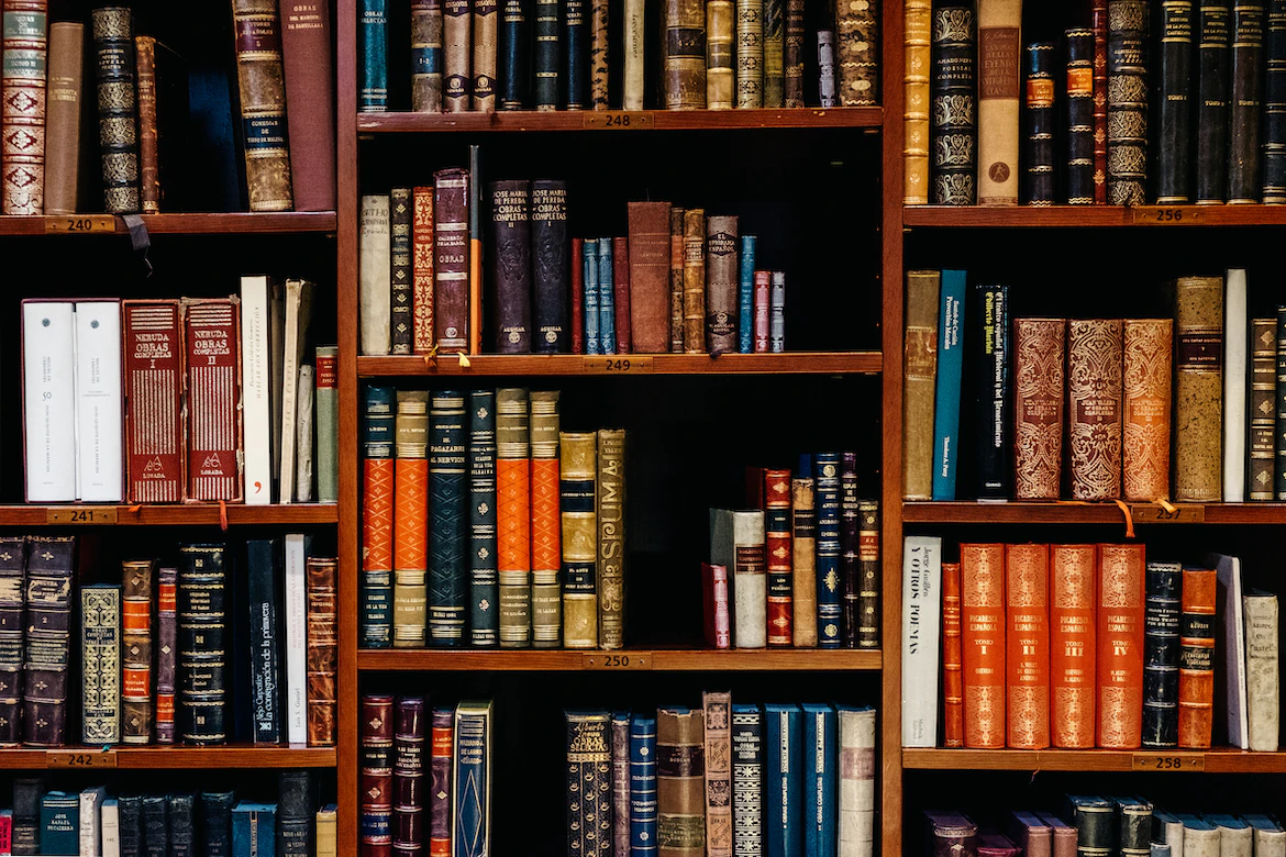 shelves with book sin a library